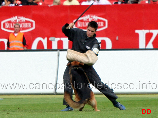 ballack-zur-worringer-rheinaue-11.jpg - Ballack zur Worringer Rheinaue V10