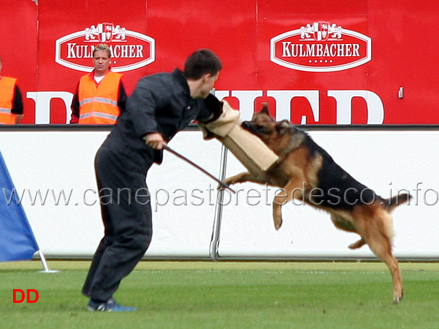 ballack-zur-worringer-rheinaue-12.jpg - Ballack zur Worringer Rheinaue V10