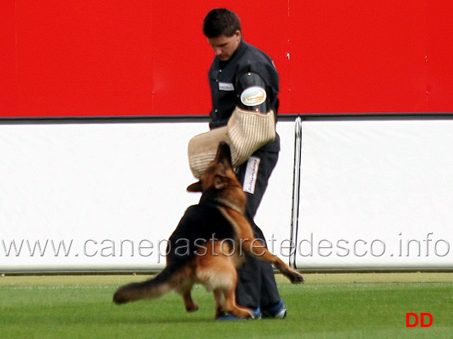 ballack-zur-worringer-rheinaue-15.jpg - Ballack zur Worringer Rheinaue V10
