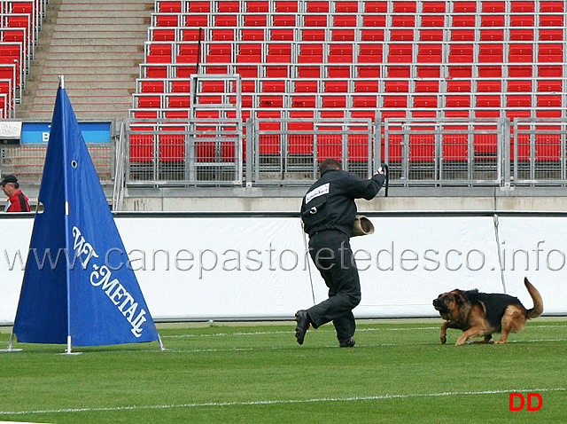 ballack-zur-worringer-rheinaue-2.jpg - Ballack zur Worringer Rheinaue V10