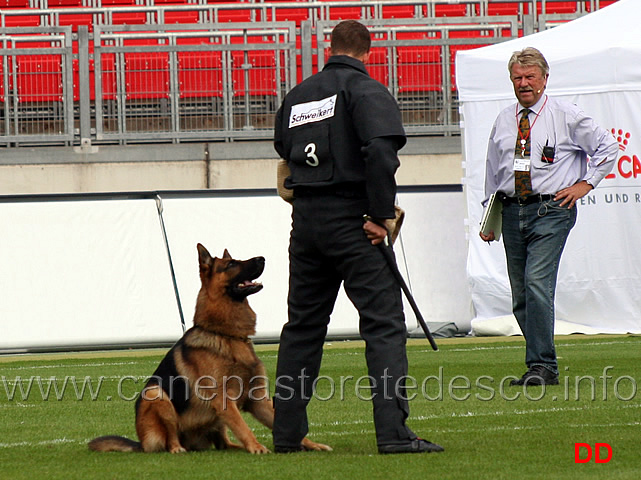 ballack-zur-worringer-rheinaue-8.jpg - Ballack zur Worringer Rheinaue V10