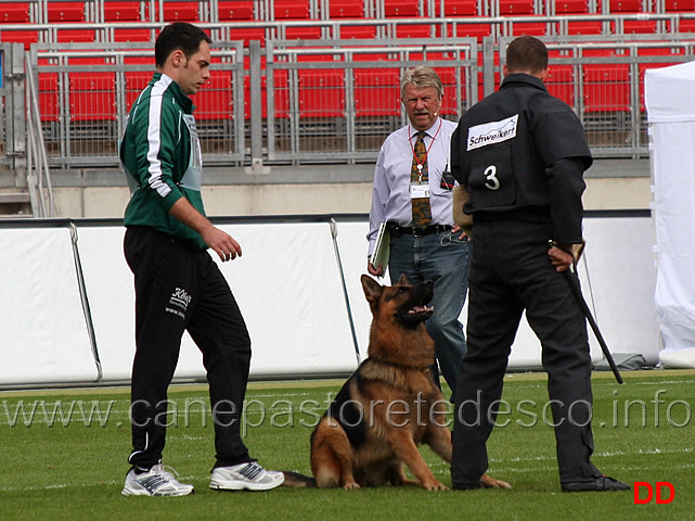 ballack-zur-worringer-rheinaue-9.jpg - Ballack zur Worringer Rheinaue V10