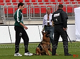 ballack-zur-worringer-rheinaue-9