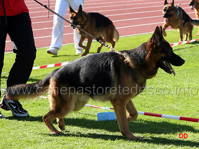 052.jpg - Tuareg von Bad-Boll V14