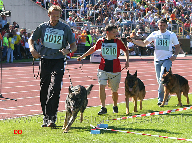 076.jpg - Javir Talka Marda V54, Veit vom Holtkämper Hof V57, Tony degli Achei (EZ)