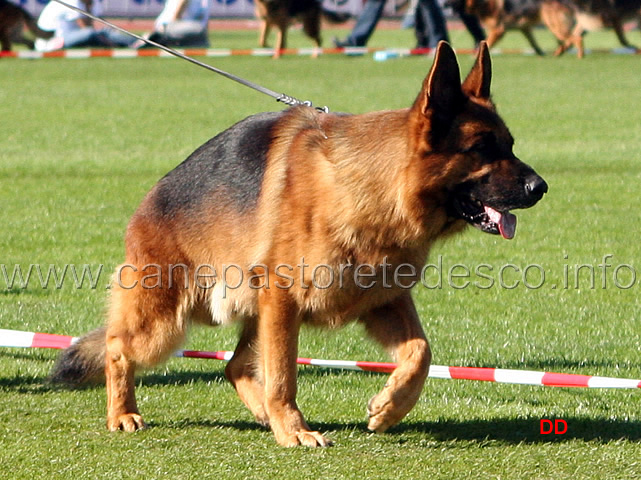 089.jpg - Yukon von der Bastillie VA3