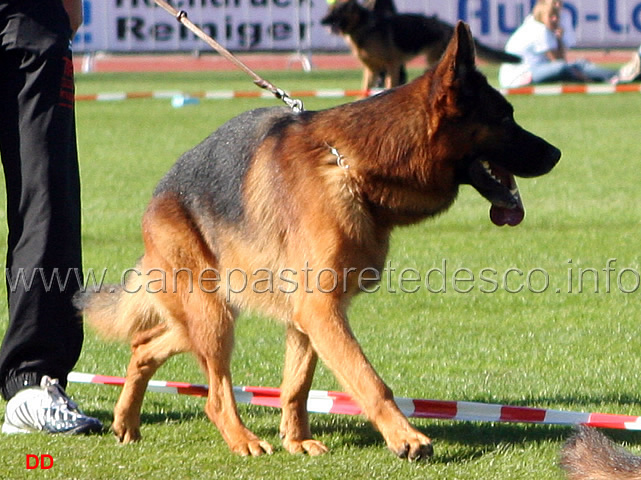 091.jpg - Ober von Bad-Boll VA5