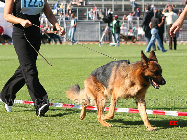 093.jpg - Remo vom Fichtenschlag VA7