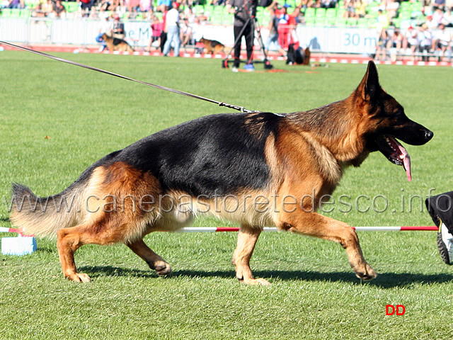 094.jpg - Bojan vom Pendler VA8
