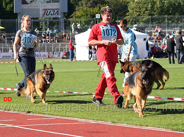 105.jpg - Zony von Haus Gerstenberg V26 e Jakas Garliavietis V28
