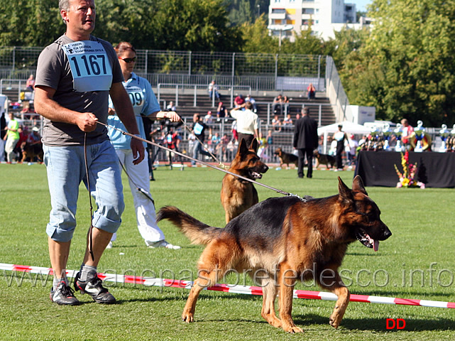 111.jpg - Unkas vom steilen Ufer V33