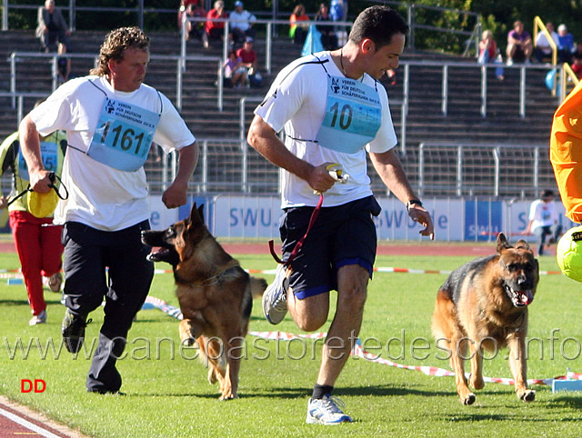 198.jpg - Ballack zur Worringer Rheinaue e Nesch von der Grafenburg