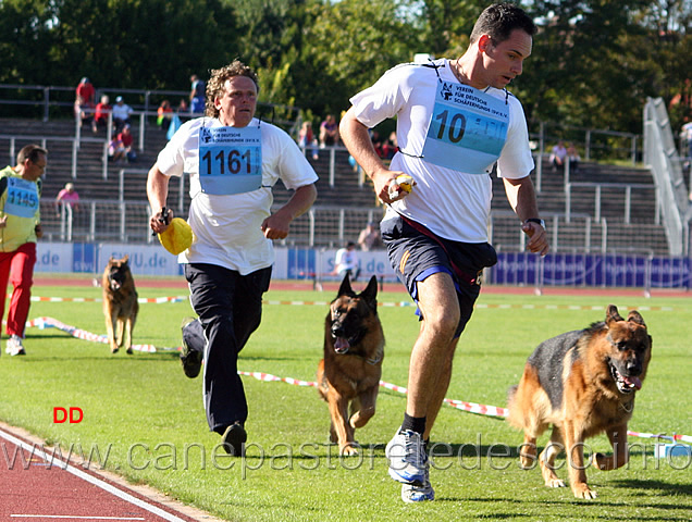 199.jpg - Ballack zur Worringer Rheinaue e Nesch von der Grafenburg