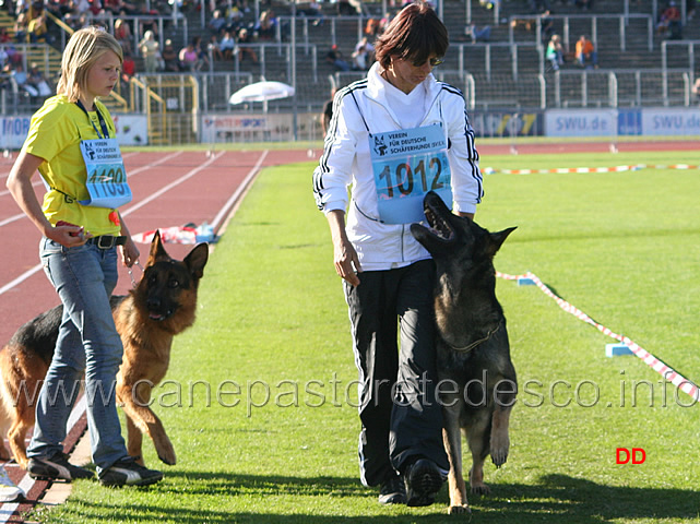 213.jpg - Javir e Michaela al fuss (e dietro il figlio di Zamp, Elmo vom Hühnegrab)