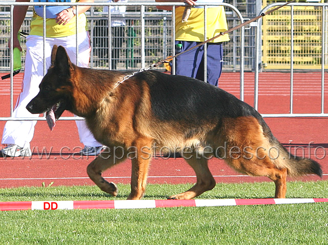 232.jpg - Ober von Bad-Boll VA5