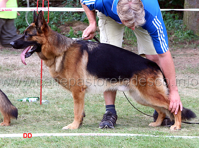 261.jpg - Bojan vom Pendler VA9 (foto LG11)