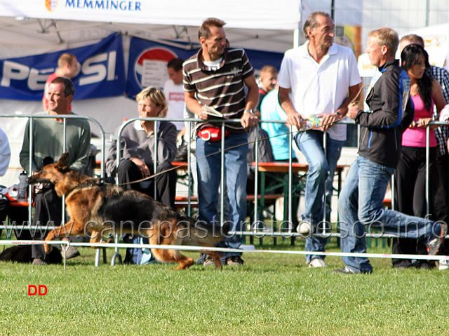 012.jpg - Leila vom Drei Birkenzwinger SG5