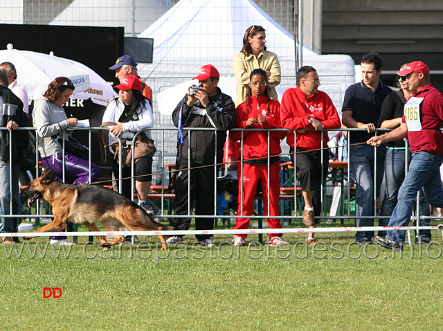036.jpg - Olina vom Akrobat SG19