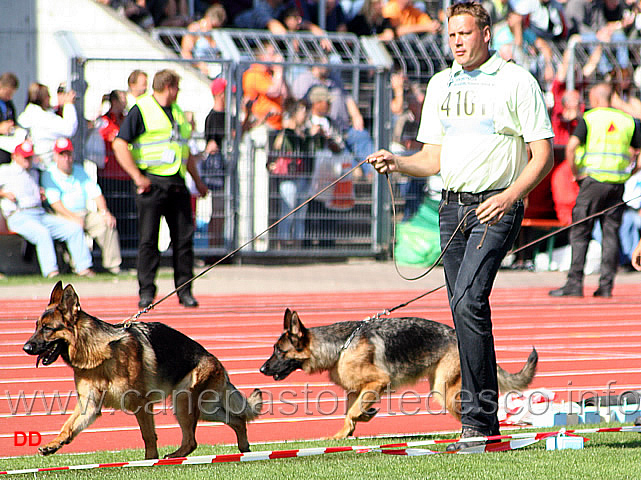 048.jpg - Heike vom Osterberger-Land SG1 e Nathalie von Alcudia SG2