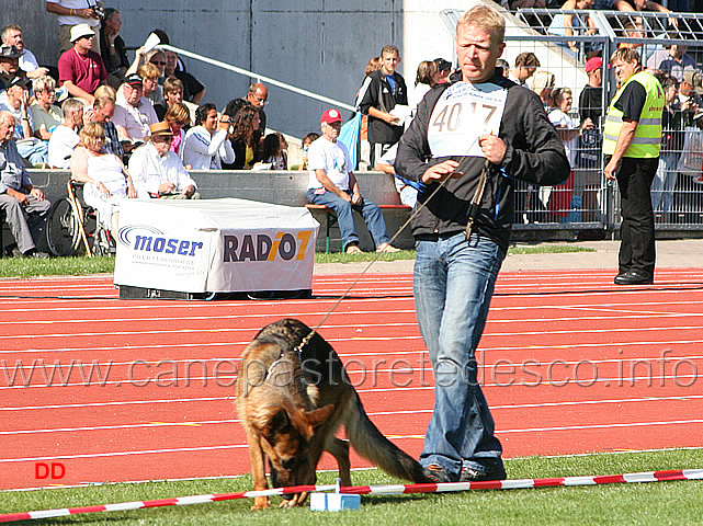 051.jpg - Leila vom Drei Birkenzwinger SG5