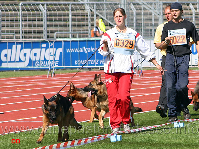 003.jpg - Juri vom Schollweiher SG1, Lara vom Messebau SG2 e Zara von der Zenteiche SG3