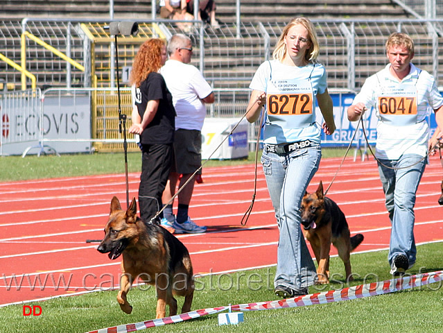 014.jpg - Fendi vom Agilolfinger SG15 e Nina von der Baiertalerstraße SG16