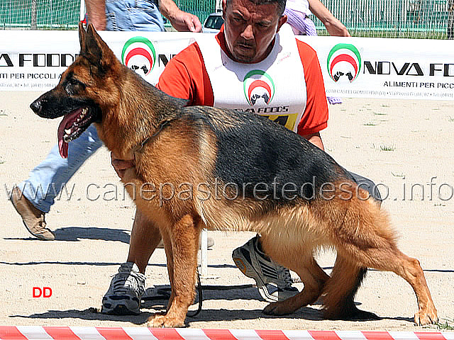 032.jpg - Cristal della Valle del Liri SG4 (foto Raduno Cartigliano)