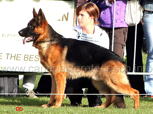 023.jpg - Furbo von der kleinen Ranch SG18