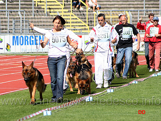 029.jpg - I primi venti classificati nello stadio