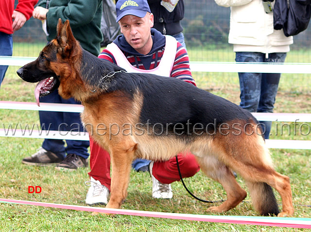 081.jpg - Paer Blue Iris SG56 (foto raduno Malpensa)