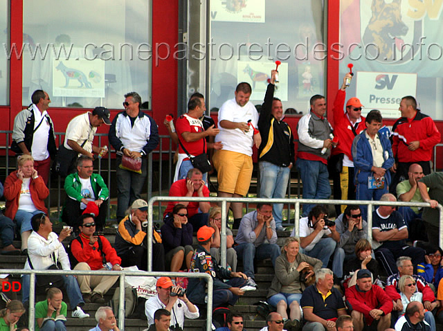 088.jpg - Furbo Supporters