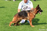 va-ellen-di-casa-nobili