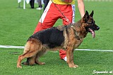 va-rauba-ropal