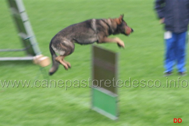 012.jpg - Ex. Salto con riporto