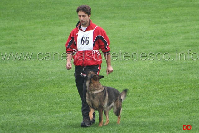 020.jpg - Gabriele Dalle Mulle con Cajenne di Oroval. Obbedienza punti 87