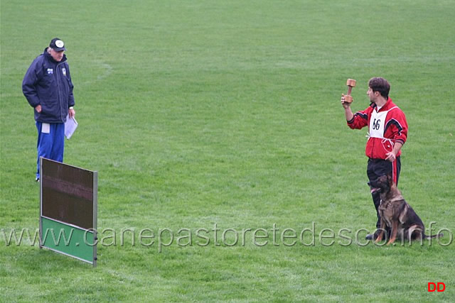026.jpg - Gabriele Dalle Mulle con Cajenne di Oroval. Obbedienza punti 87. Riporto