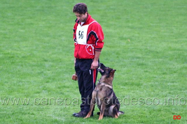 034.jpg - Gabriele Dalle Mulle con Cajenne di Oroval. Obbedienza punti 87