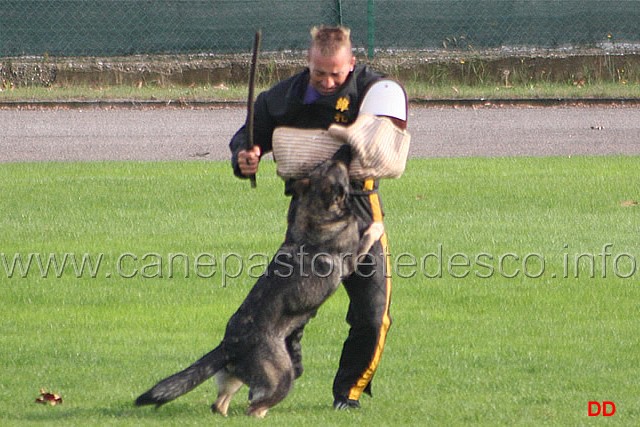 094.jpg - Anny di Dranael. Difesa del cane durante la fase di vigilanza