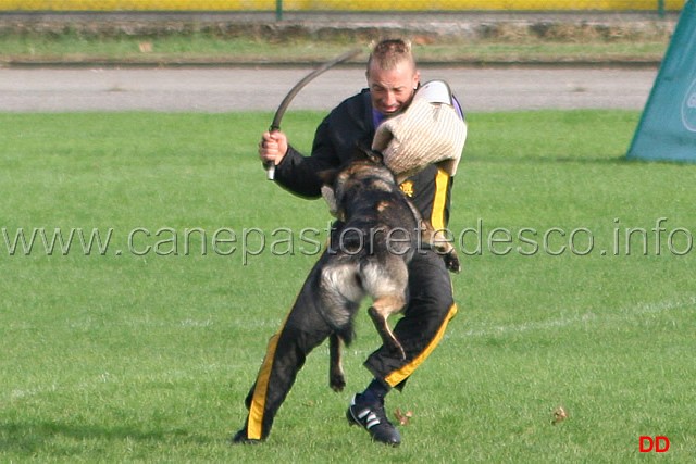 098.jpg - Anny di Dranael. Attacco al cane durante la condotta da dietro