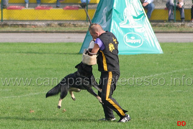 099.jpg - Anny di Dranael. Attacco al cane durante la condotta da dietro