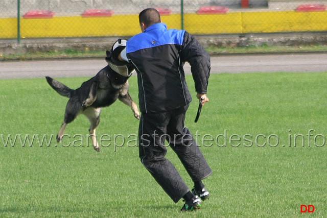 101.jpg - Anny di Dranael. Attacco lanciato
