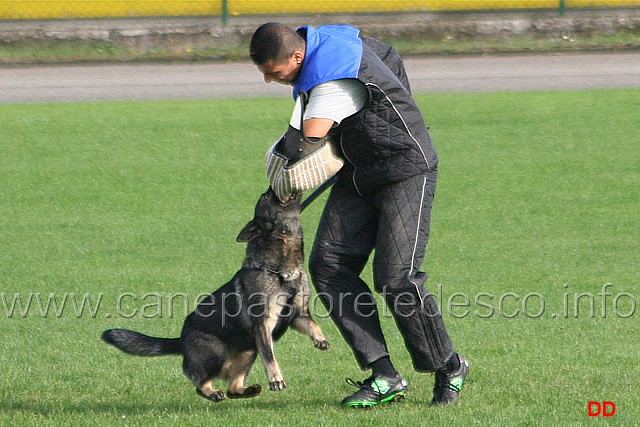 102.jpg - Anny di Dranael. Attacco lanciato