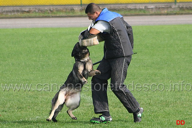 103.jpg - Anny di Dranael. Attacco lanciato