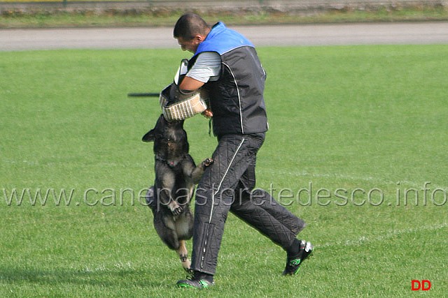 104.jpg - Anny di Dranael. Attacco lanciato