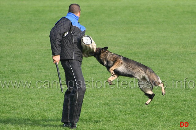 105.jpg - Anny di Dranael. Attacco lanciato