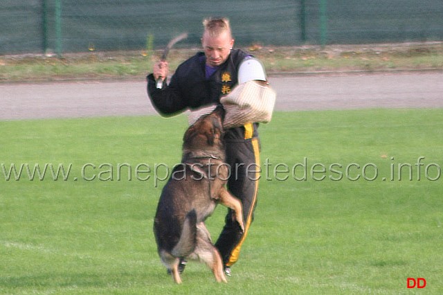 132.jpg - Ex. Difesa del cane durante la vigilanza (riaffronto)