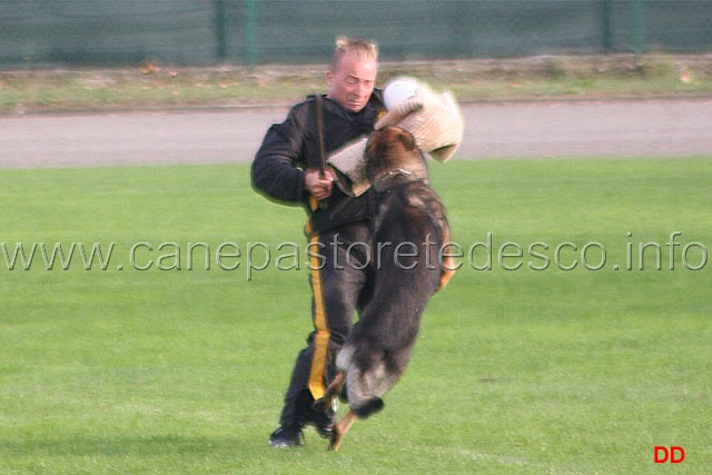 133.jpg - Ex. Difesa del cane durante la vigilanza (riaffronto)