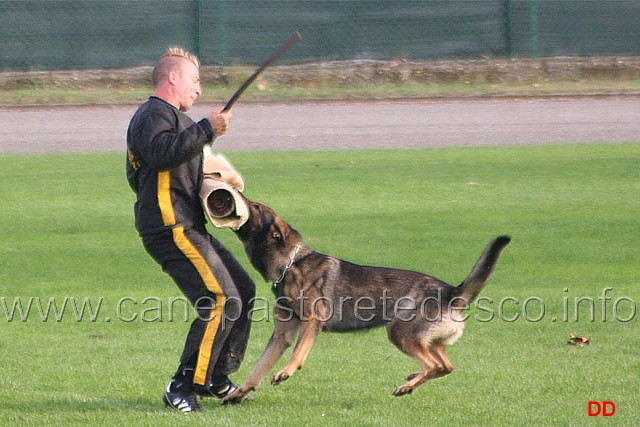 134.jpg - Ex. Difesa del cane durante la vigilanza (riaffronto)