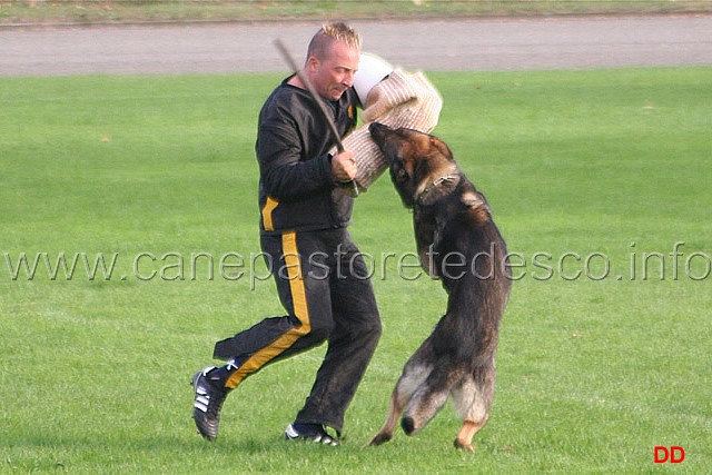 136.jpg - Ex. Difesa del cane durante la vigilanza (riaffronto)