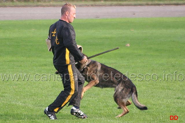 137.jpg - Ex. Difesa del cane durante la vigilanza (riaffronto)